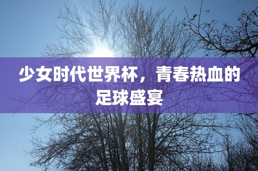 少女时代世界杯，青春热宁夏金凯胜工贸有限公司血的足球盛宴